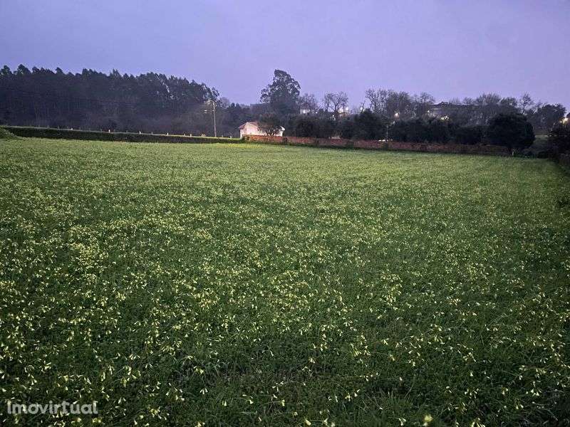 Terreno para Construção - Grande imagem: 2/2