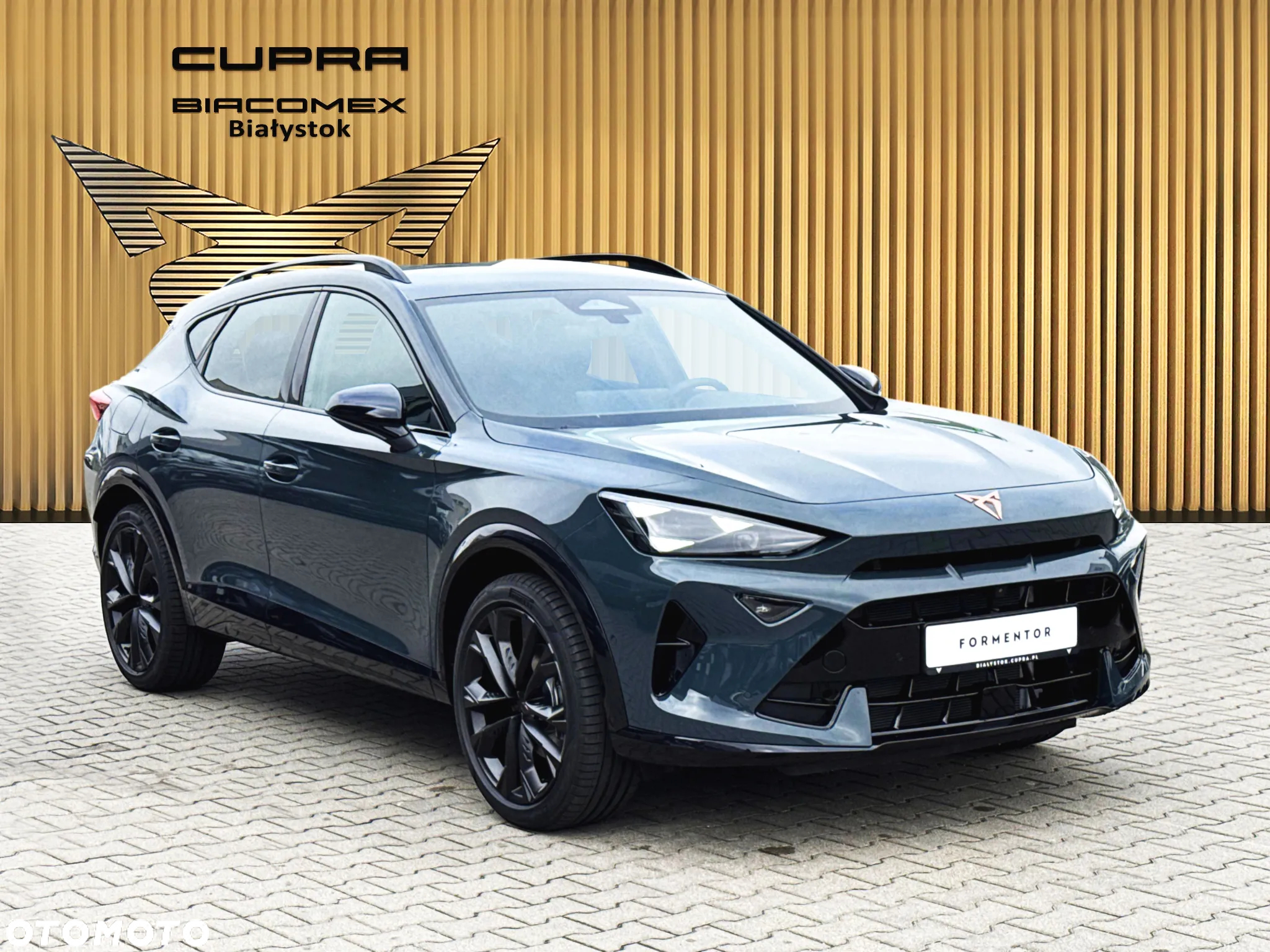 Cupra Formentor 2.0 TSI 4Drive DSG - 8