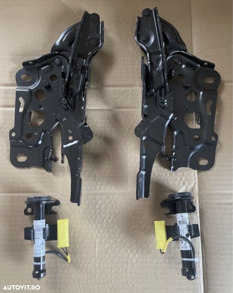 Balama  balamale capota BMW seria 3 G20 G21 Broasca capsa - 1