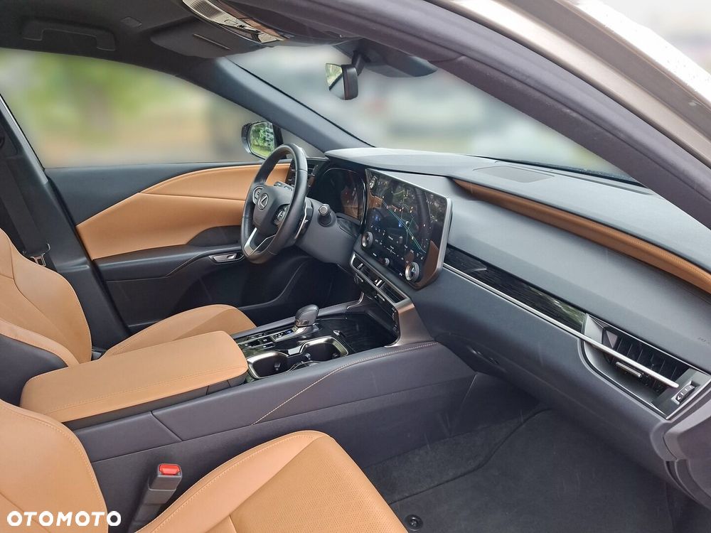 Lexus RX - 17