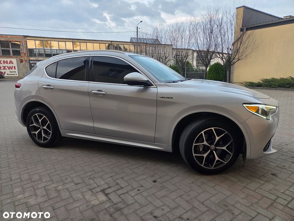 Alfa Romeo Stelvio 2.0 Turbo 16V AT8-Q4 Veloce - 2