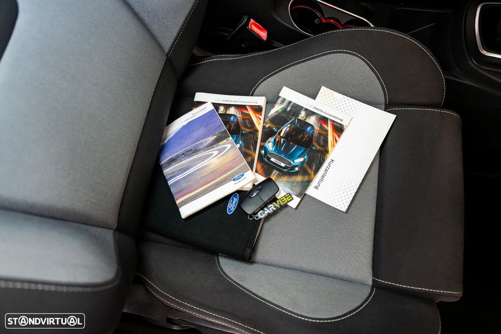 Ford Fiesta 1.6 EcoBoost ST - 15