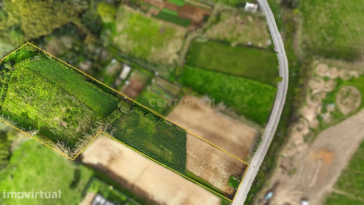 Terreno, 4 140 m², Porto Formoso - Grande imagem: 2/10