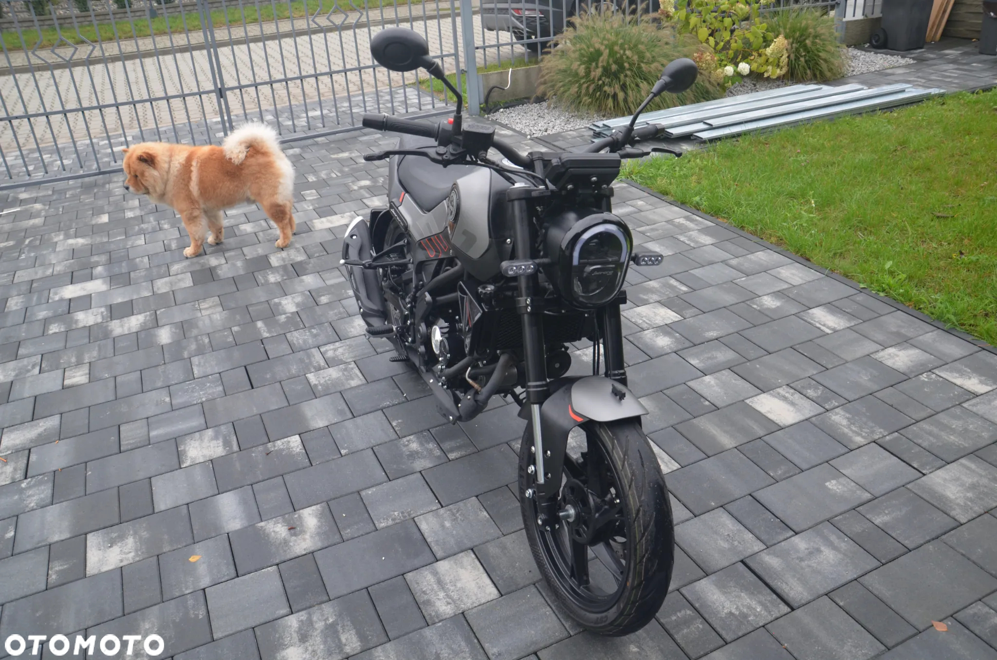Benelli Leoncino - 4