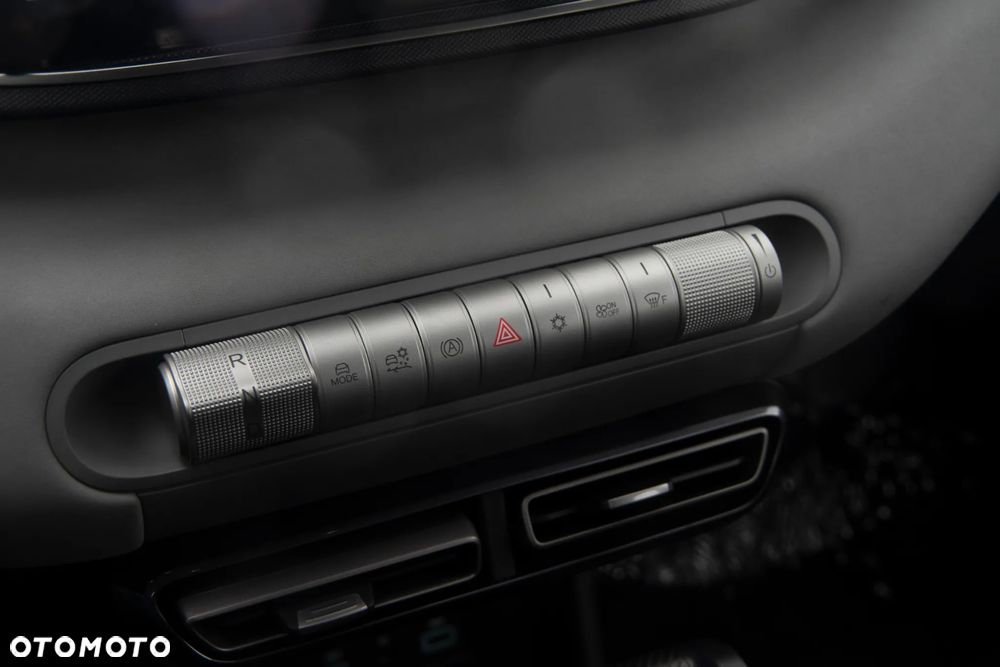 BYD Dolphin Surf - 10