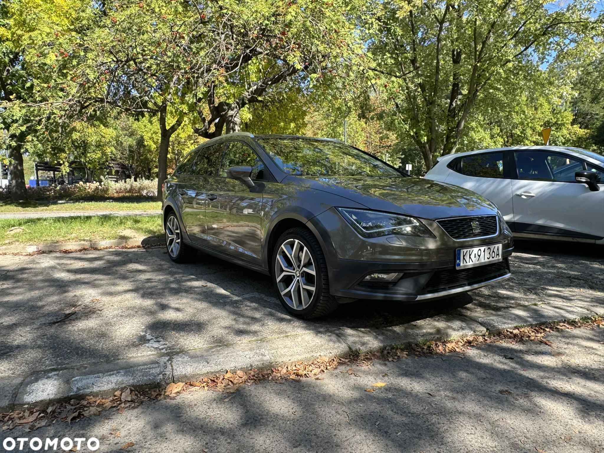 Seat Leon 2.0 TDI X-Perience S&S 4Drive DSG - 3