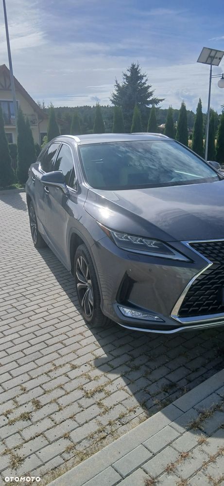 Lexus RX 300 Business Edition + - 10
