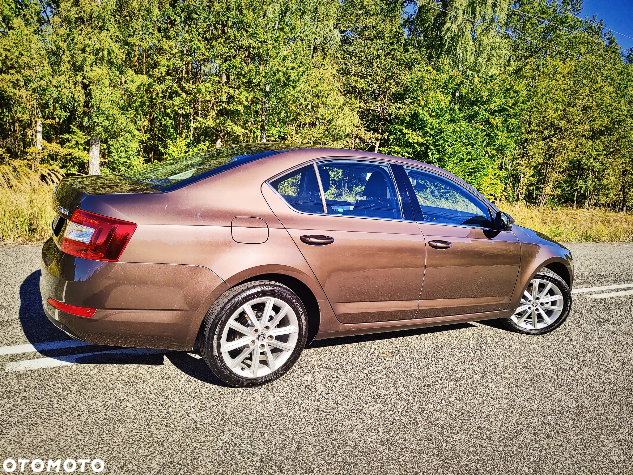 Skoda Octavia 1.4 TSI Elegance - 10