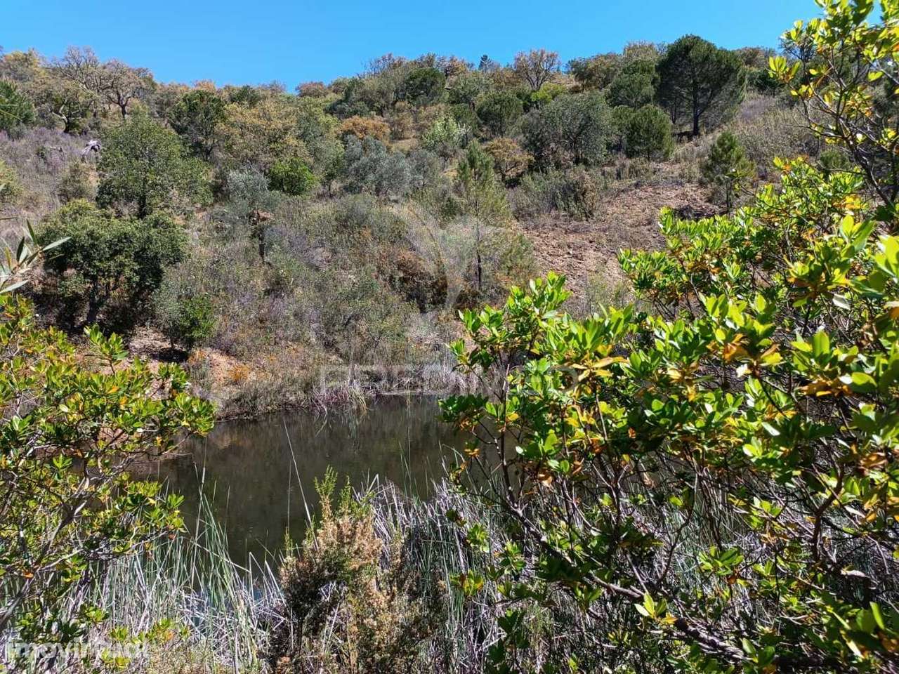 Casa de Campo - Grande imagem: 4/35