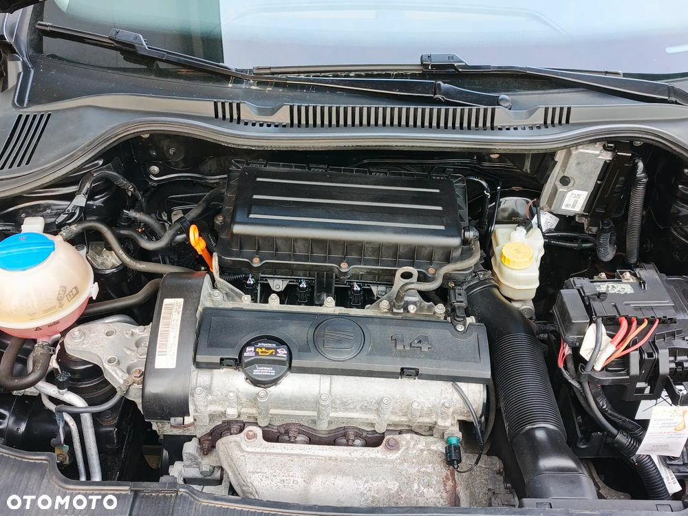 Seat Ibiza - 12