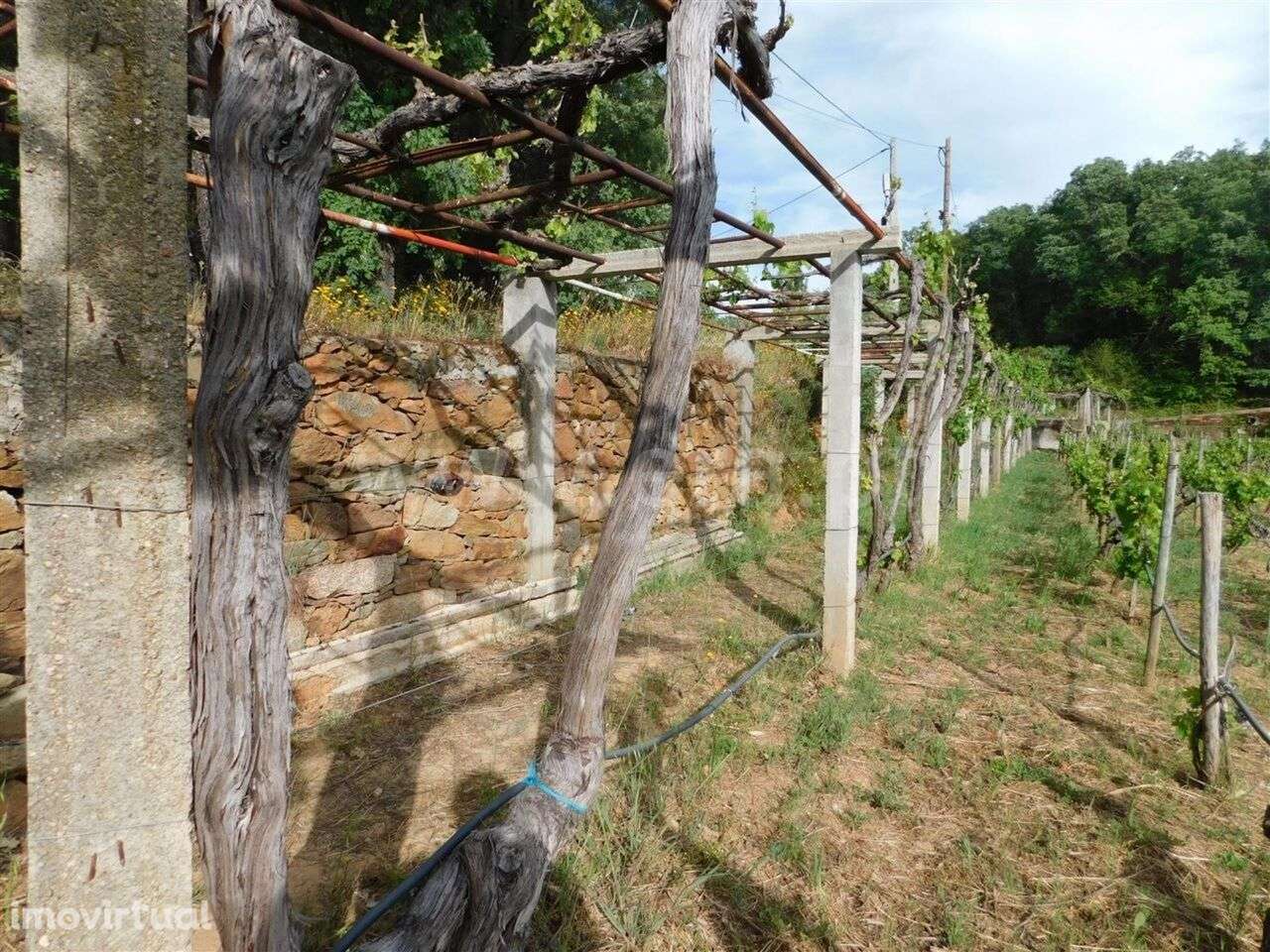 Terreno / Fundão, Alcaide - Grande imagem: 5/12