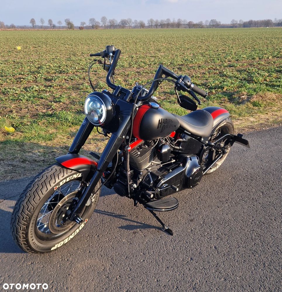 Harley-Davidson Softail Heritage Classic - 11