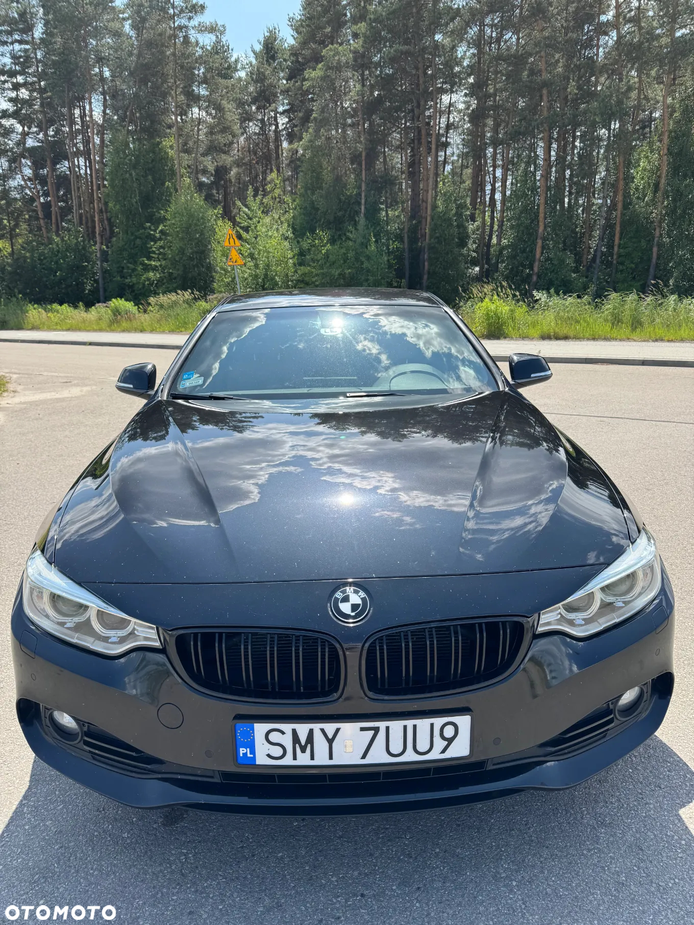 BMW Seria 4 420d Luxury Line - 7