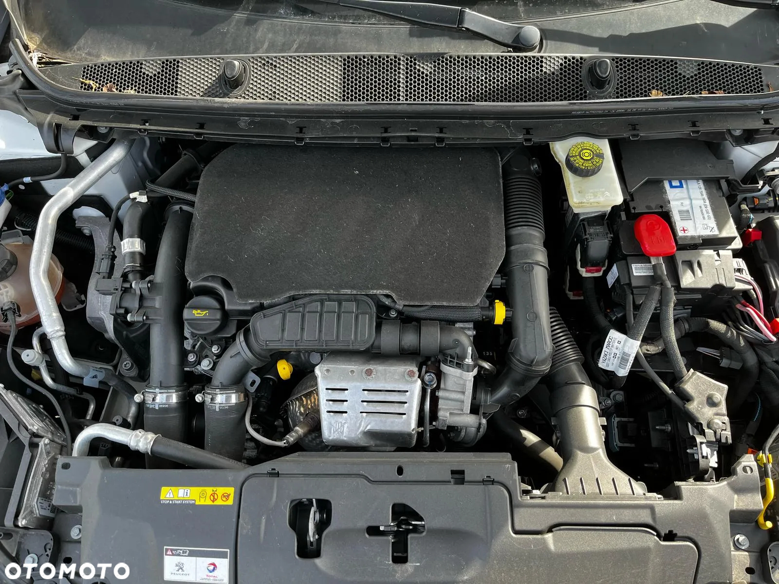 Peugeot 308 - 15