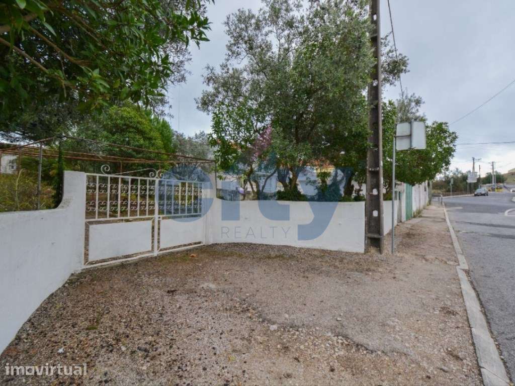Terreno Urbano Plano em Sinais - Oportunidade Única para Construir ... - Grande imagem: 4/20