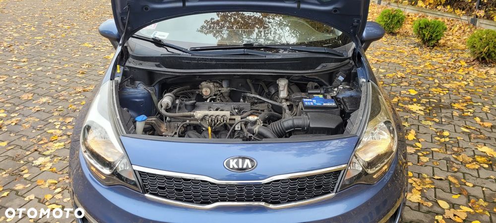 Kia Rio - 18