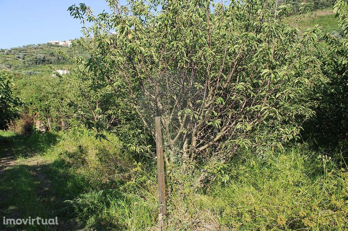 Terreno  para venda - Grande imagem: 2/8