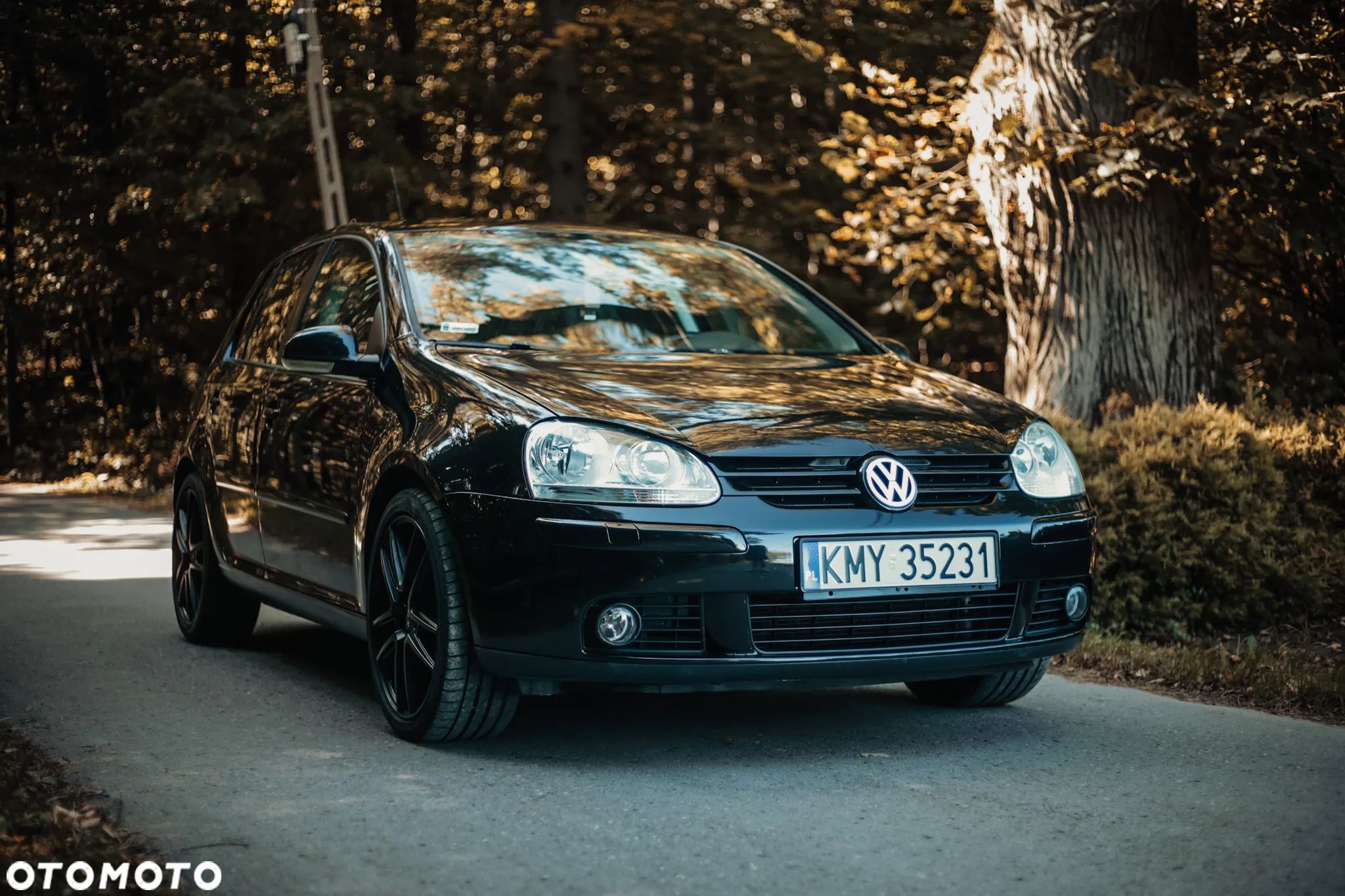 Volkswagen Golf - 1