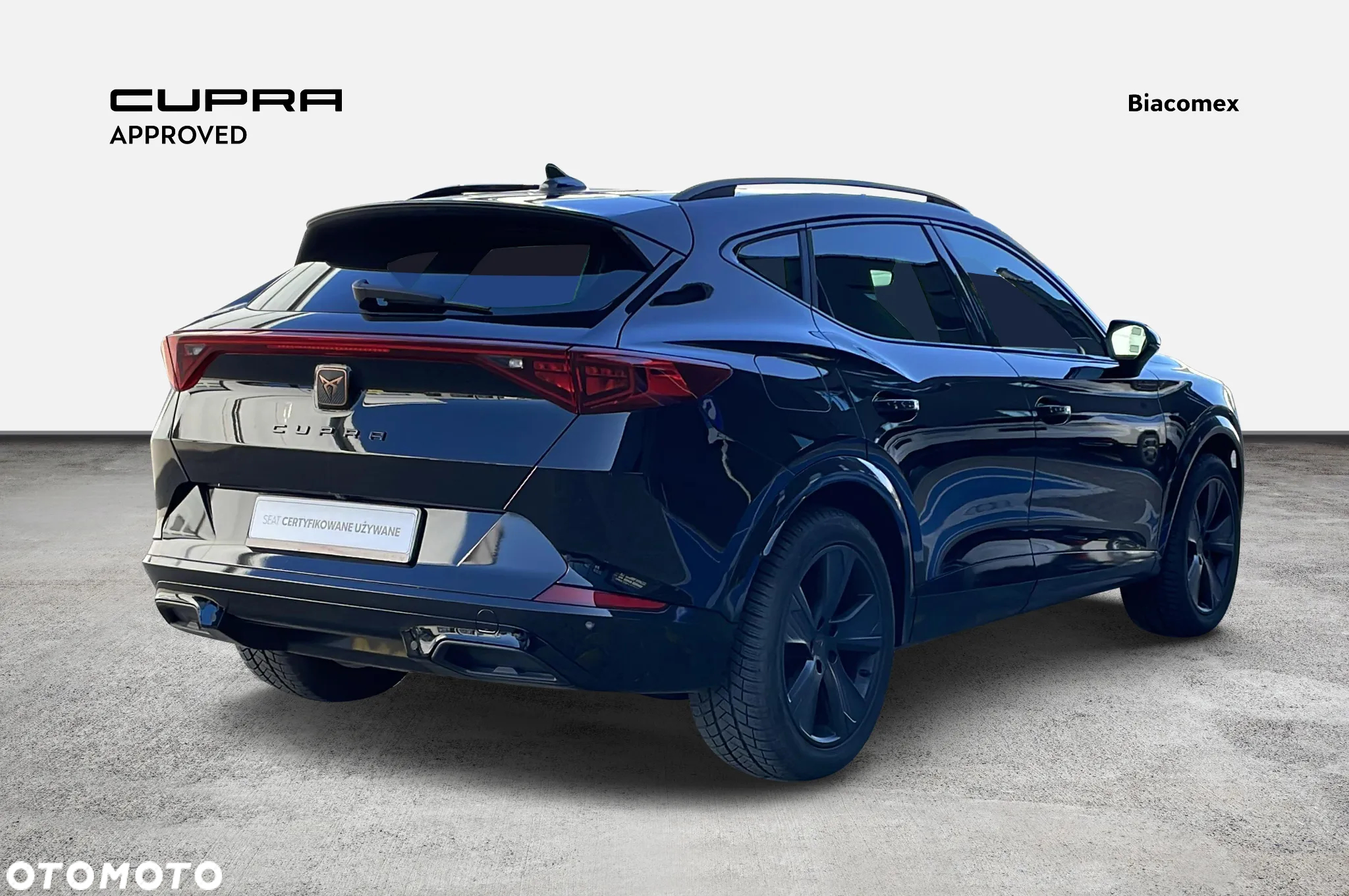 Cupra Formentor 2.0 TSI 4Drive DSG - 5