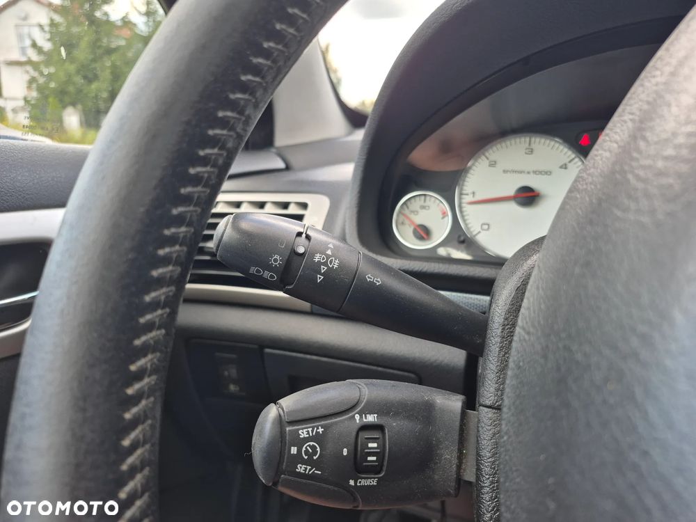 Peugeot 407 2.0 HDI Platinum - 13