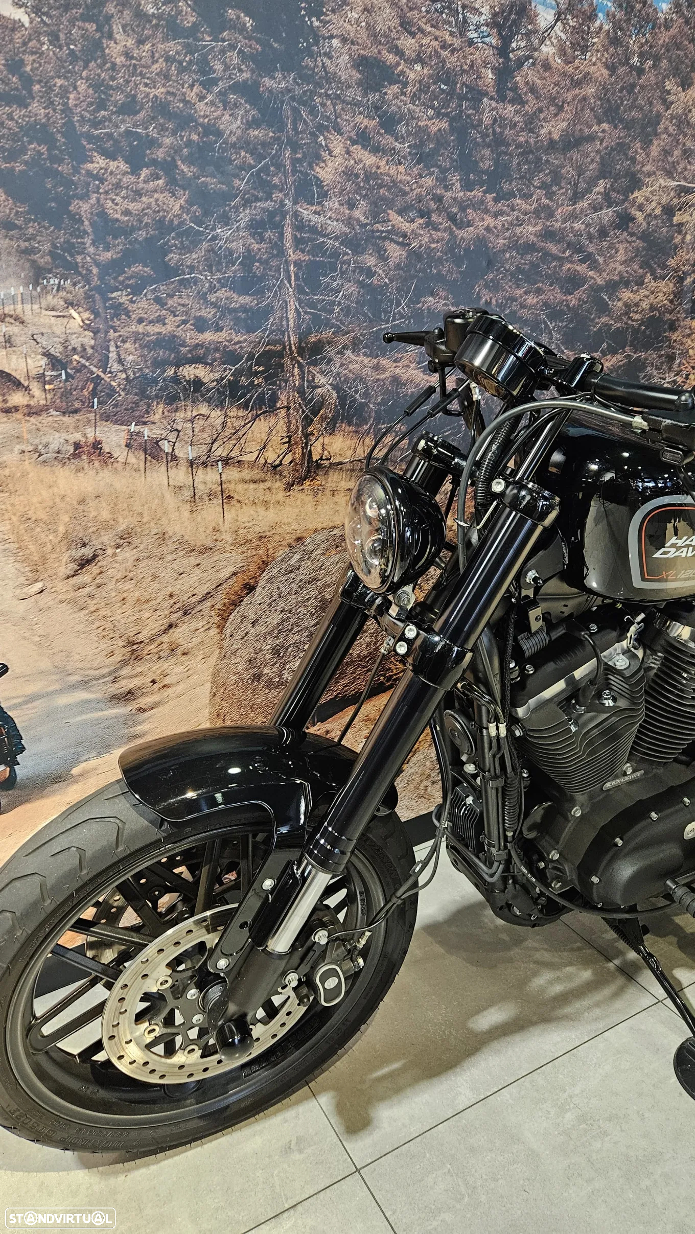 Harley-Davidson Sportster Roadster 1200 - 14