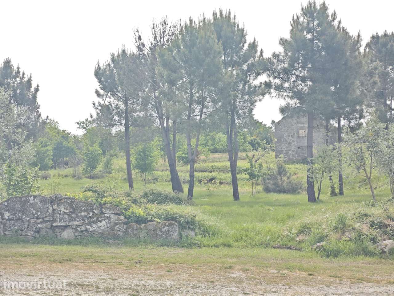 Terreno urbano em Mangualde - Grande imagem: 3/9