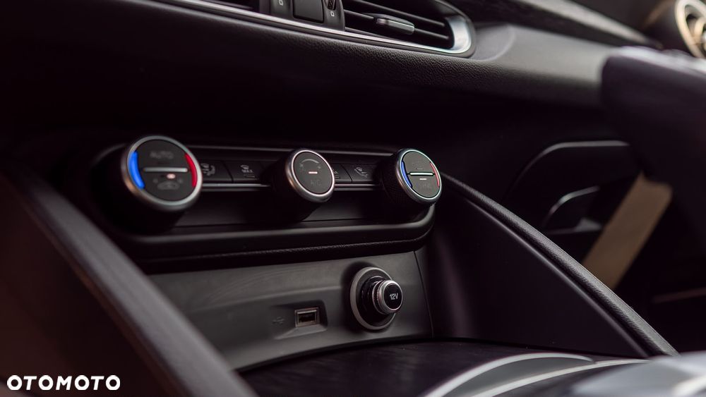 Alfa Romeo Stelvio 2.0 Turbo Super Q4 - 13