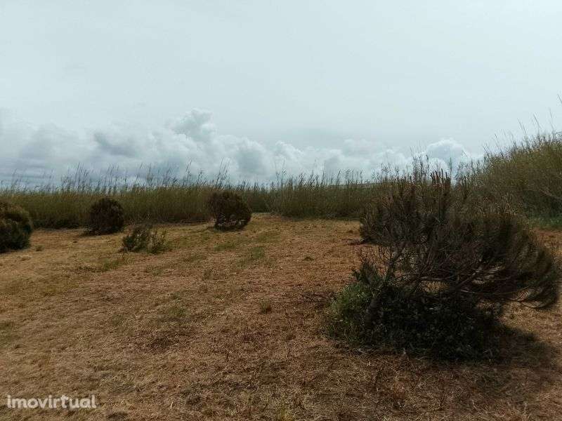 Terreno rústico na Serra do Bouro - Grande imagem: 5/12