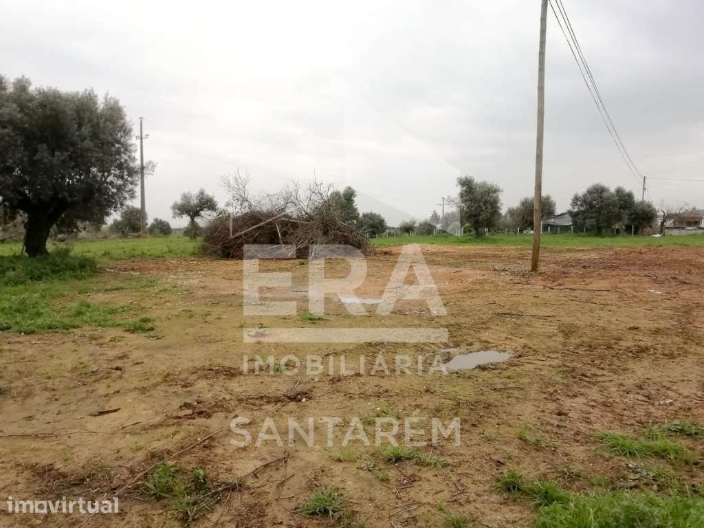 Terreno com 4920m2 para Construção de Moradia - Grande imagem: 3/4