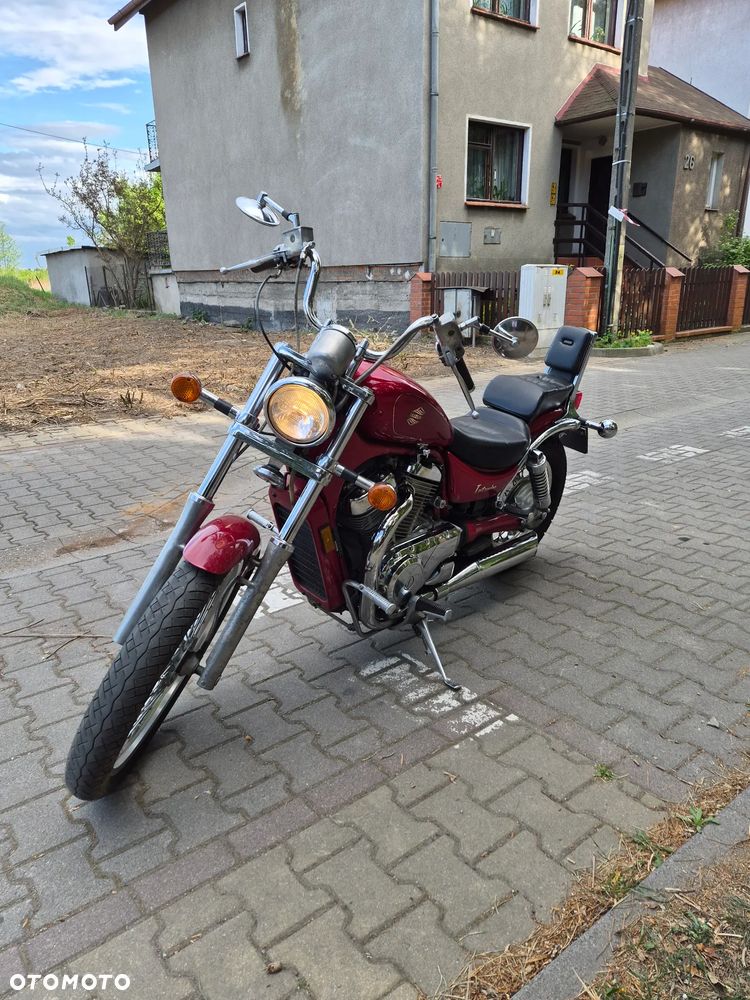 Suzuki Intruder - 4