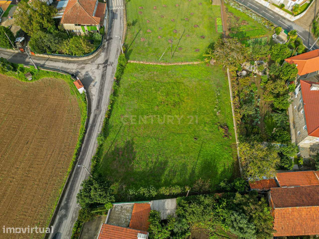 TerrenoTerreno de Construção em Alvito S. Martinho - Grande imagem: 3/13