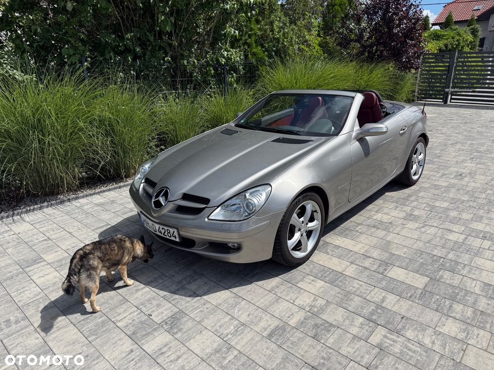 Mercedes-Benz SLK - 19