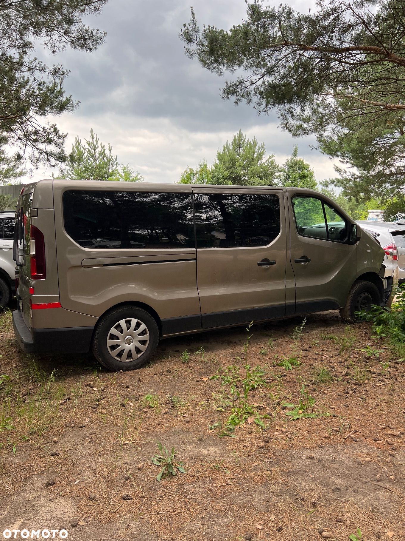 Renault Trafic - 1