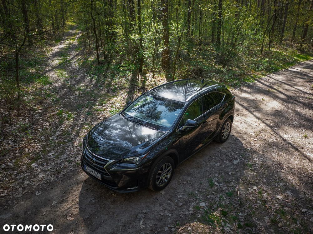 Lexus NX 300 Elegance 2WD - 24