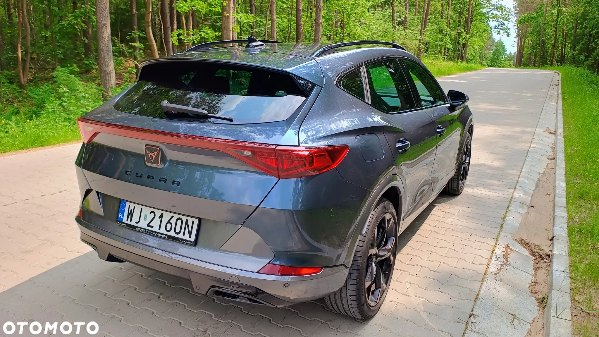 Cupra Formentor 2.0 TDI 4Drive DSG - 23