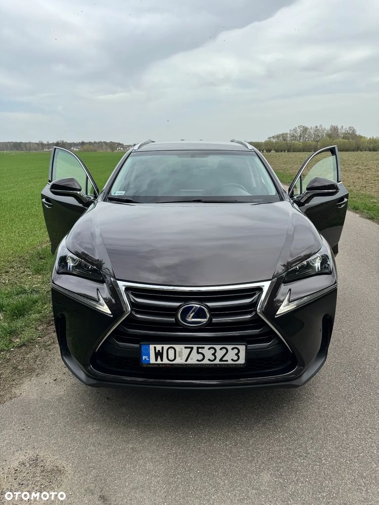 Lexus NX - 11