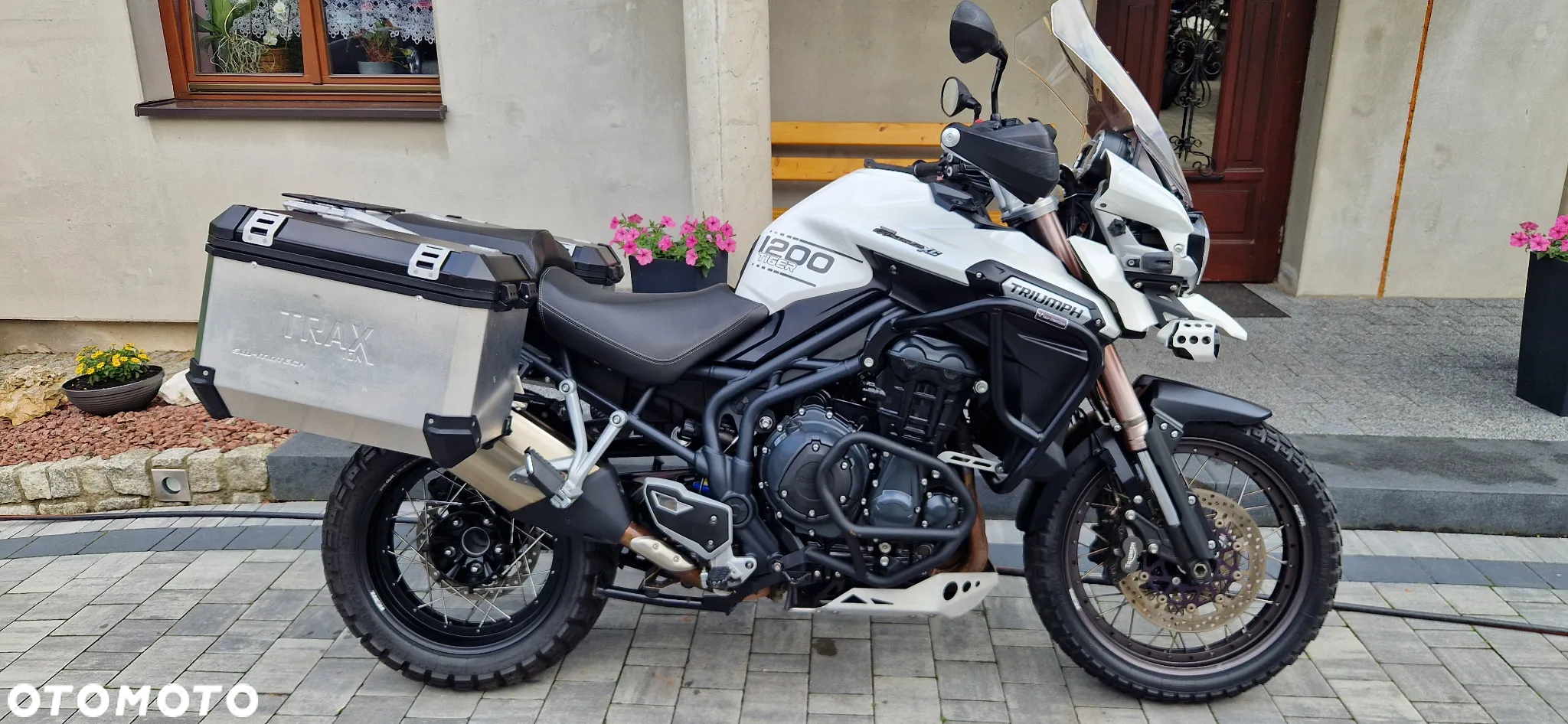 Triumph Tiger - 4