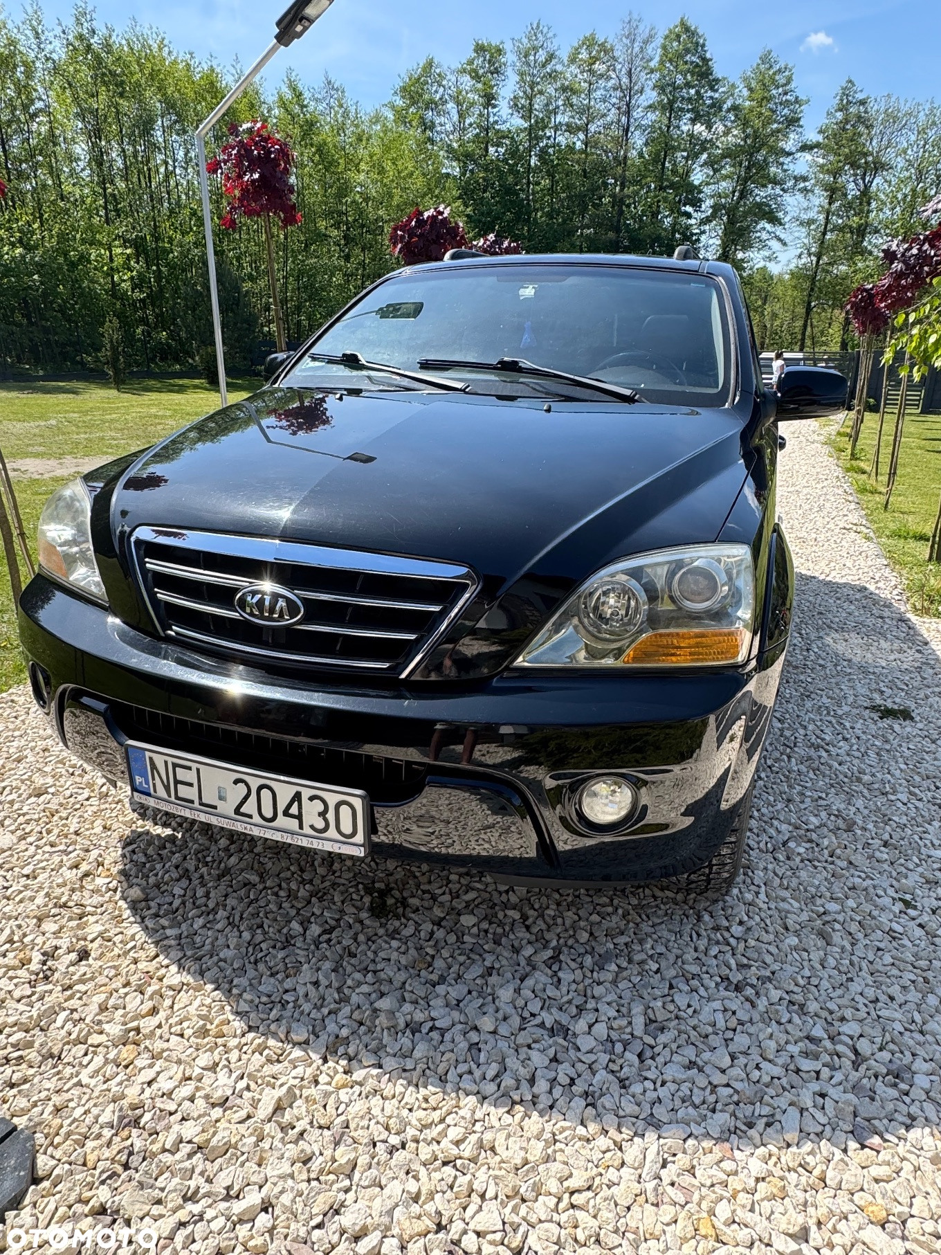 Kia Sorento - 3