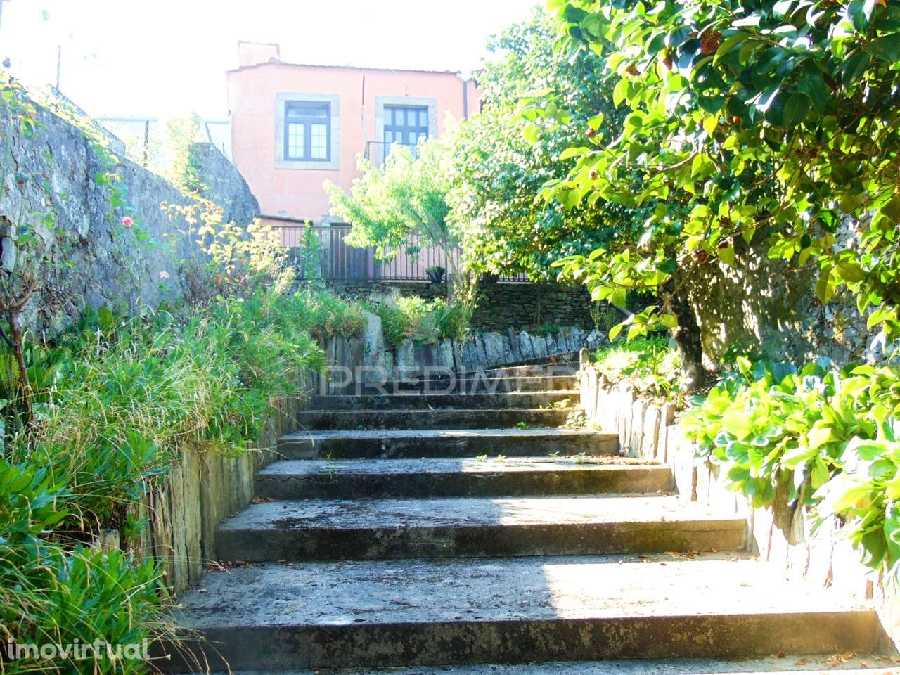 Casa centenária no Alto Douro Vinhateiro - Grande imagem: 3/40