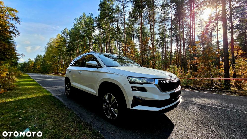 Skoda Karoq 2.0 TDI SCR 4x2 Sportline - 2