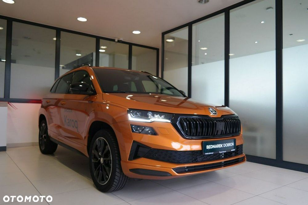 Skoda Karoq - 2
