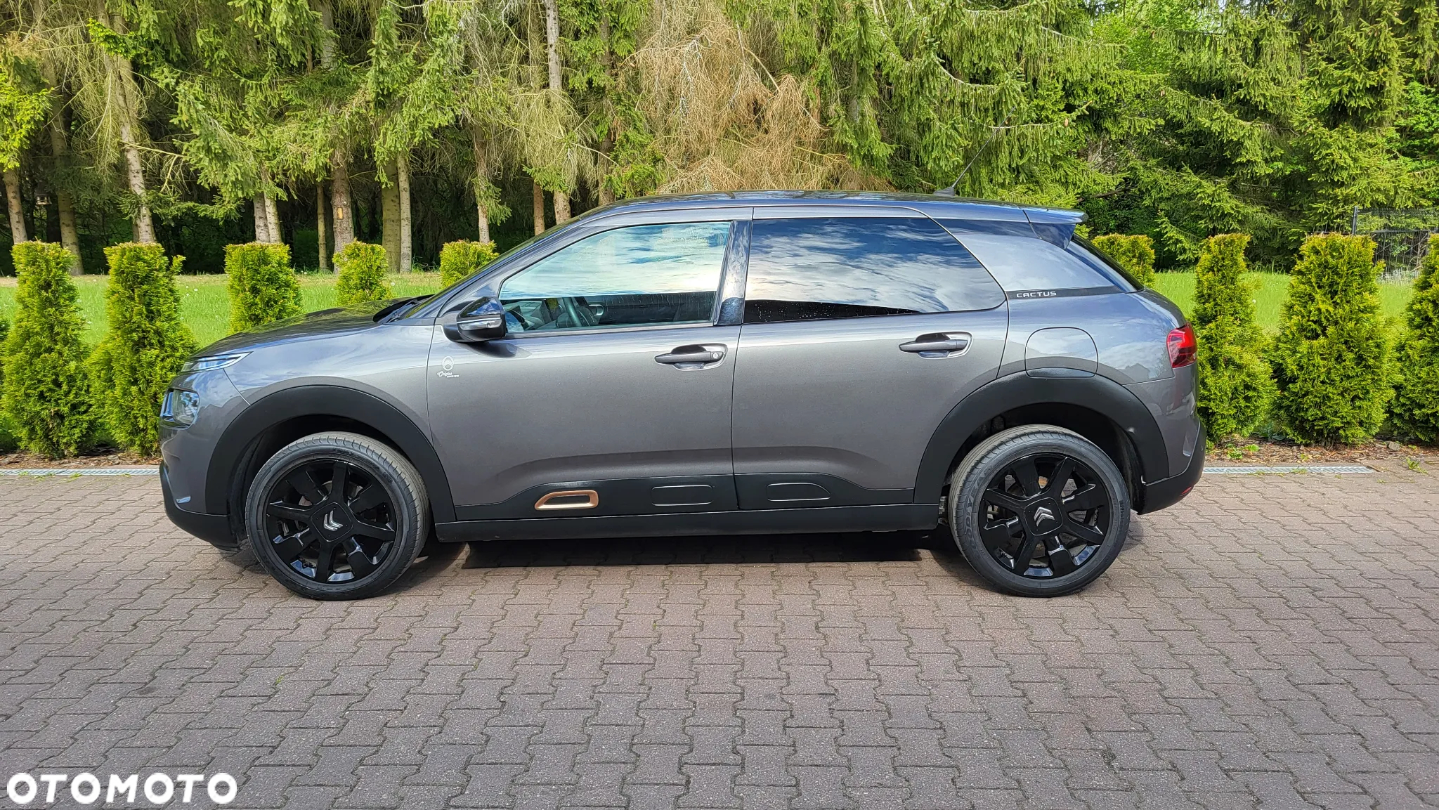 Citroën C4 Cactus 1.2 PureTech Origins S&S - 5