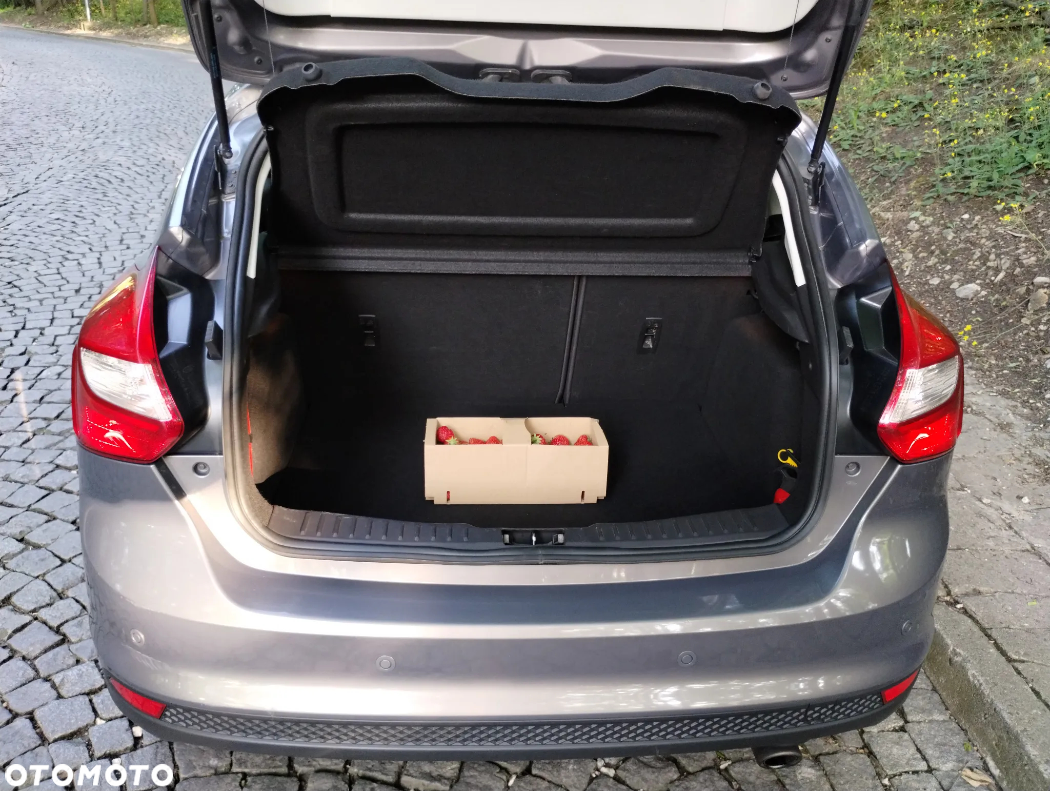 Ford Focus 1.6 EcoBoost Trend Sport - 29