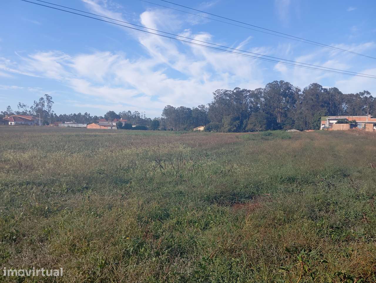 Terreno para construção em S. Miguel de Souto - Grande imagem: 3/6