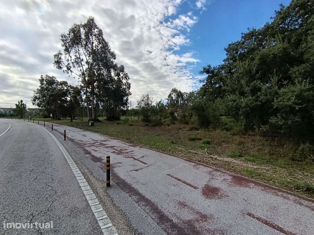 Terreno Disponível para Habitação ou Industria - Grande imagem: 4/14