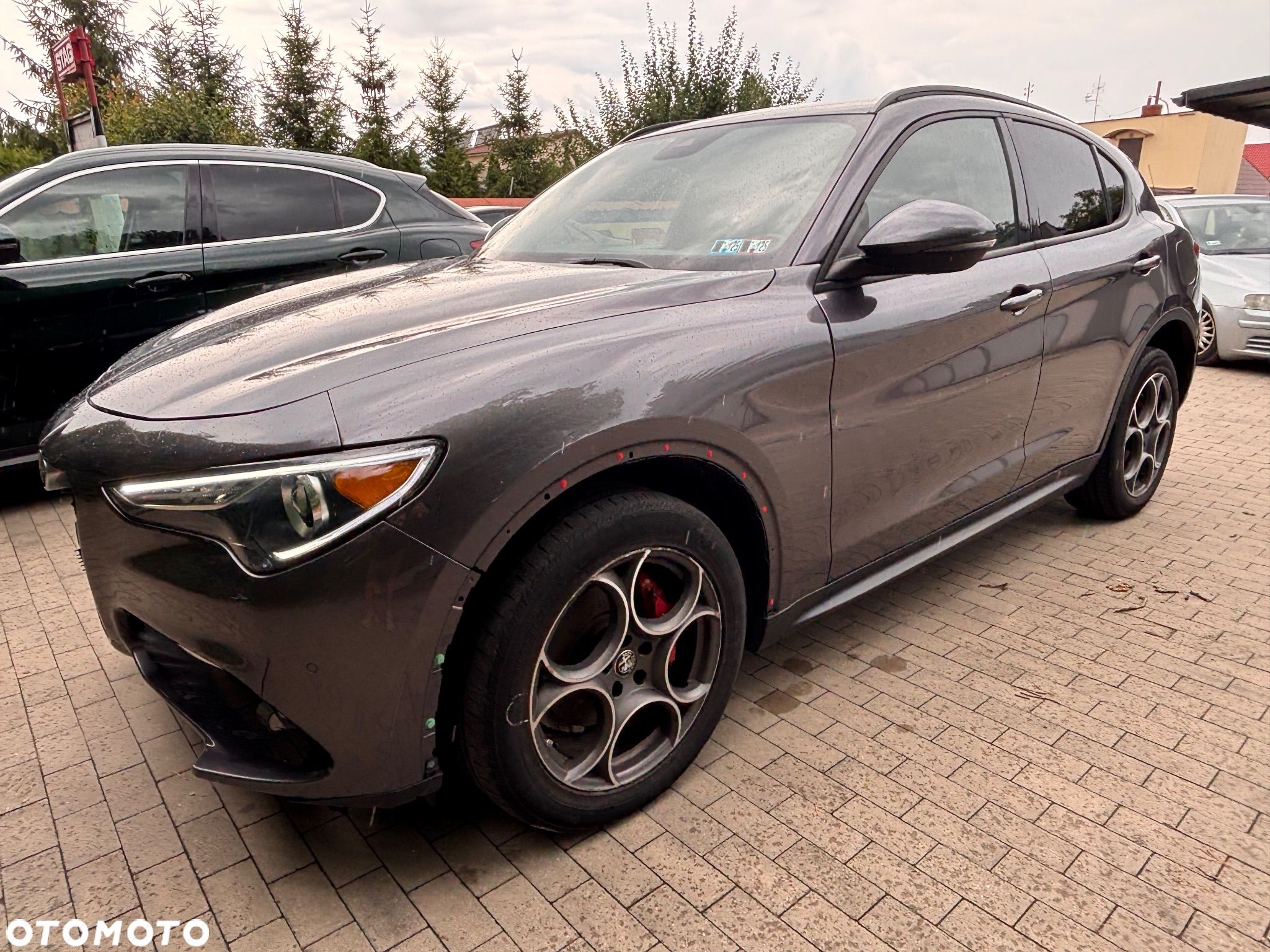 Alfa Romeo Stelvio 2.0 Turbo Veloce Q4 - 1