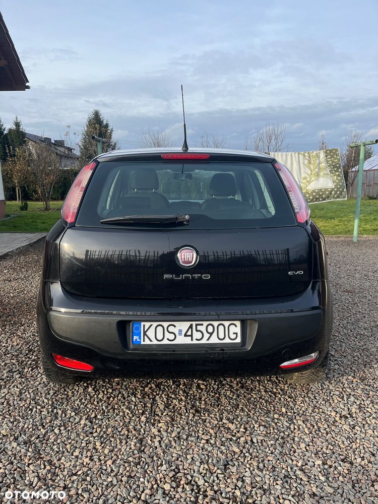 Fiat Punto - 3