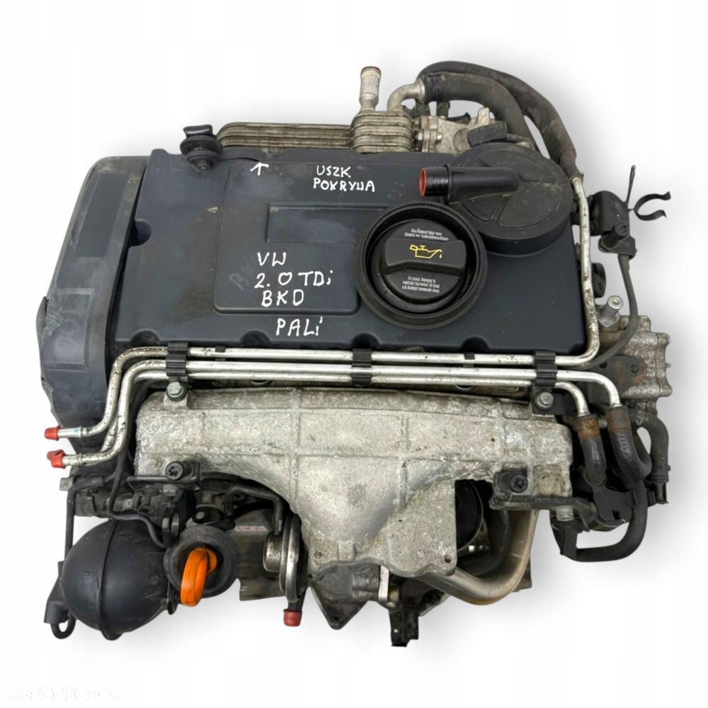 SILNIK BKD VW Golf V Jetta III Touran Skoda Octavia II Superb 2.0 TDI 140KM - 3