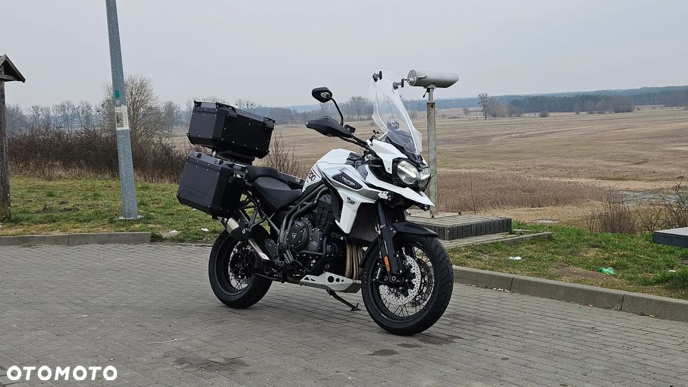 Triumph Tiger - 2
