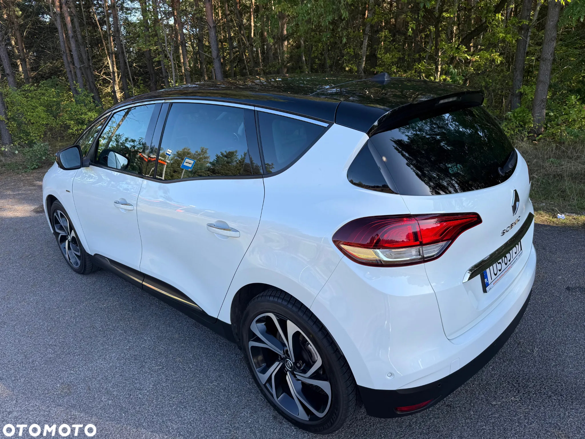 Renault Scenic - 2
